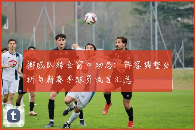 挪威队转会窗口动态:阵容调整分析与新赛季球员流言汇总